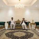 wedding sofa for wedding stage or marquee furniture
