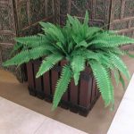 strip wooden planter in chiniot pakistan